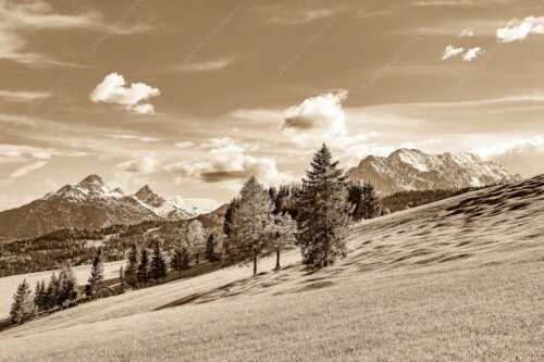 Blick über Buckelwiesen zu den Arnspitzen und Wettersteingebirge - Malerisch - Seitenverhältnis 3:2 - Buckelwiese Arnspitze und Wetterstein - weitere Infos unter https://www.kriner-weiermann.de