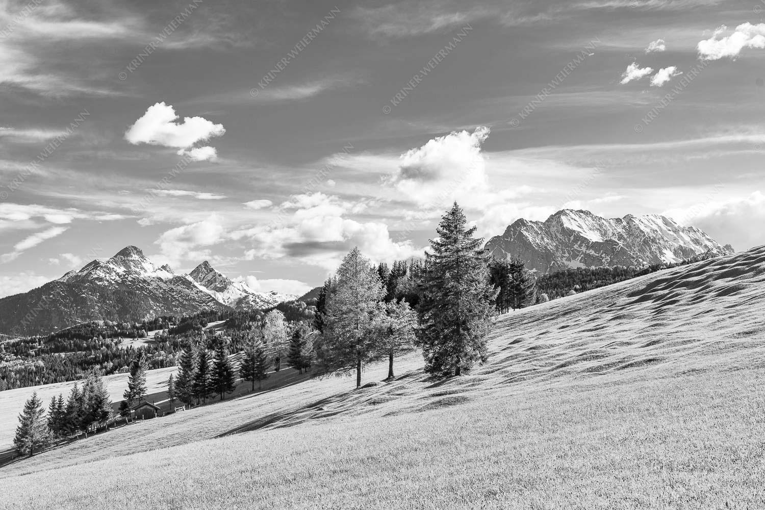 Blick über Buckelwiesen zu den Arnspitzen und Wettersteingebirge