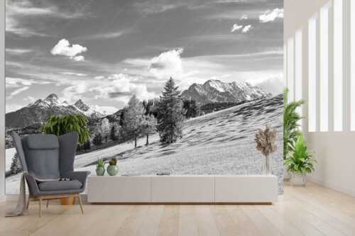Blick über Buckelwiesen zu den Arnspitzen und Wettersteingebirge - Malerisch - Größe ca. 300x200cm, Seitenverhältnis 3:2 - Buckelwiese Arnspitze und Wetterstein - weitere Infos unter https://www.kriner-weiermann.de