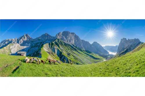 Bergschafe am Scharnitzjoch mit Oberreintalschrofen, Scharnitzspitze und Schüsselkar im Wettersteingebirge - Malerische Sommerweide II - Seitenverhältnis 2,5:1 - Schafe mit Schüsselkar und Scharnitzspitze - weitere Infos unter https://www.kriner-weiermann.de