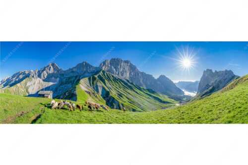Bergschafe am Scharnitzjoch mit Oberreintalschrofen, Scharnitzspitze und Schüsselkar im Wettersteingebirge - Malerische Sommerweide II - Seitenverhältnis 3:1 - Schafe mit Schüsselkar und Scharnitzspitze - weitere Infos unter https://www.kriner-weiermann.de