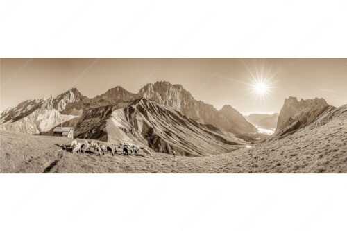 Bergschafe am Scharnitzjoch mit Oberreintalschrofen, Scharnitzspitze und Schüsselkar im Wettersteingebirge - Malerische Sommerweide II - Seitenverhältnis 3:1 - Schafe mit Schüsselkar und Scharnitzspitze - weitere Infos unter https://www.kriner-weiermann.de