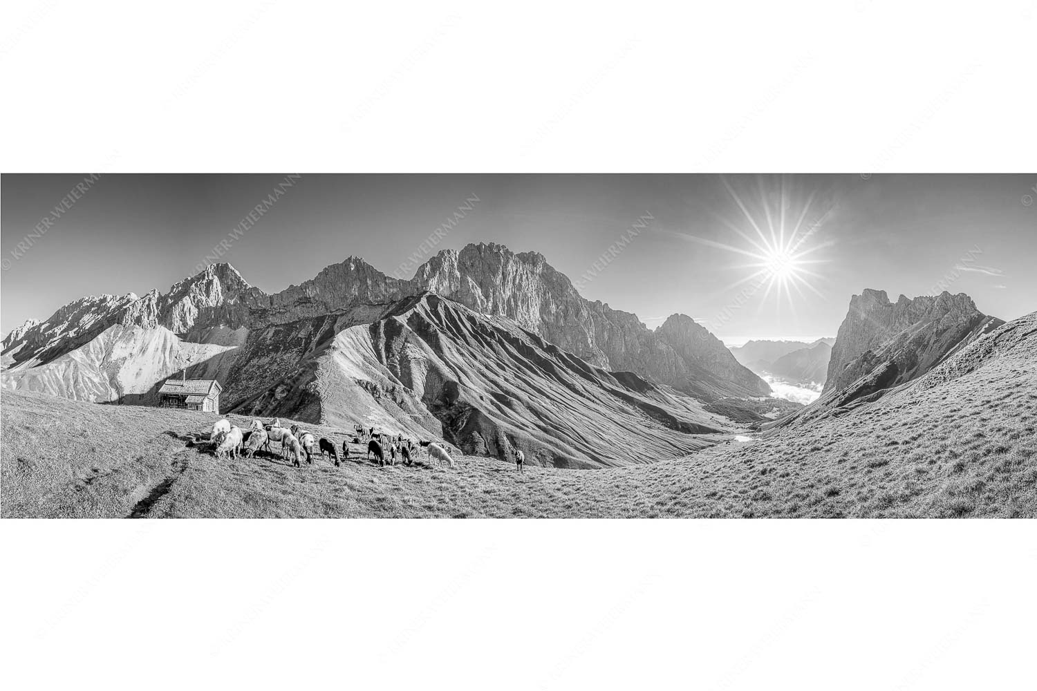 Malerische Sommerweide II – Seitenverhältnis 3:1 — Schafe mit Schüsselkar und Scharnitzspitze Bergschafe am Scharnitzjoch mit Oberreintalschrofen, Scharnitzspitze und Schüsselkar im Wettersteingebirge