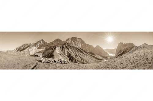 Bergschafe am Scharnitzjoch mit Oberreintalschrofen, Scharnitzspitze und Schüsselkar im Wettersteingebirge - Malerische Sommerweide II - Seitenverhältnis 4:1 - Schafe mit Schüsselkar und Scharnitzspitze - weitere Infos unter https://www.kriner-weiermann.de