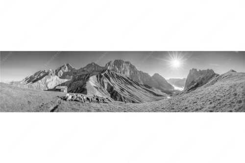 Bergschafe am Scharnitzjoch mit Oberreintalschrofen, Scharnitzspitze und Schüsselkar im Wettersteingebirge - Malerische Sommerweide II - Seitenverhältnis 4:1 - Schafe mit Schüsselkar und Scharnitzspitze - weitere Infos unter https://www.kriner-weiermann.de