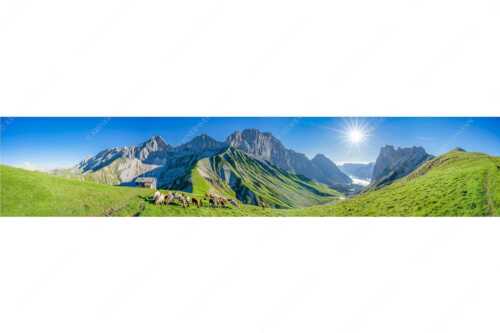 Bergschafe am Scharnitzjoch mit Oberreintalschrofen, Scharnitzspitze und Schüsselkar im Wettersteingebirge - Malerische Sommerweide II - Seitenverhältnis 5:1 - Schafe mit Schüsselkar und Scharnitzspitze - weitere Infos unter https://www.kriner-weiermann.de