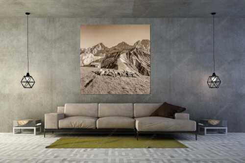 Bergschafe am Scharnitzjoch mit Oberreintalschrofen, Scharnitzspitze und Schüsselkar im Wettersteingebirge - Malerische Sommerweide II - Größe ca. 160x160cm, Seitenverhältnis 1:1 - Schafe mit Schüsselkar und Scharnitzspitze - weitere Infos unter https://www.kriner-weiermann.de