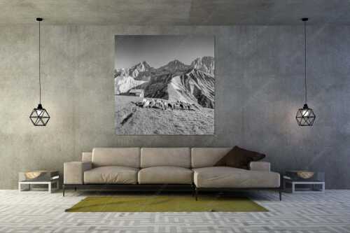 Bergschafe am Scharnitzjoch mit Oberreintalschrofen, Scharnitzspitze und Schüsselkar im Wettersteingebirge - Malerische Sommerweide II - Größe ca. 160x160cm, Seitenverhältnis 1:1 - Schafe mit Schüsselkar und Scharnitzspitze - weitere Infos unter https://www.kriner-weiermann.de