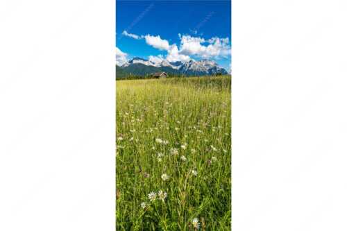Blumenwiese mit Blick zum Karwendelgebirge - Margeriten und mehr - Seitenverhältnis 1:2 - Blumenwiese mit Karwendel - weitere Infos unter https://www.kriner-weiermann.de