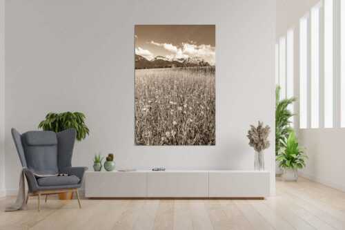 Blumenwiese mit Blick zum Karwendelgebirge - Margeriten und mehr - Größe ca. 120x180cm, Seitenverhältnis 2:3 - Blumenwiese mit Karwendel - weitere Infos unter https://www.kriner-weiermann.de