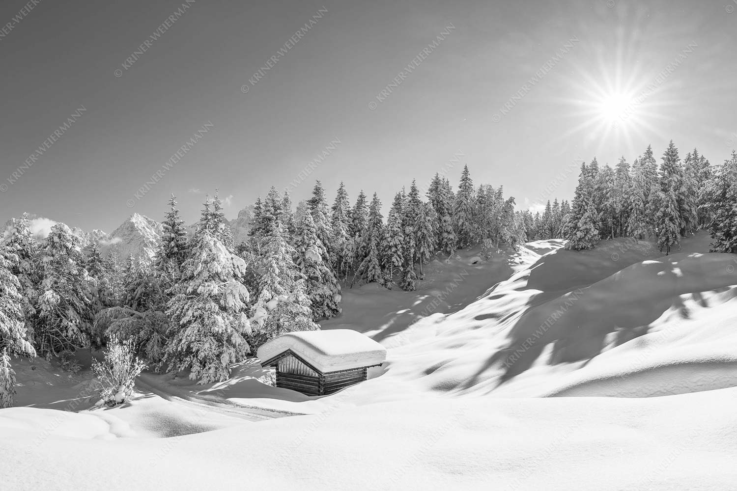 Wiesmahdstadel bei Mittenwald mit Tiefkarspitze im Karwendel im Hintergrund