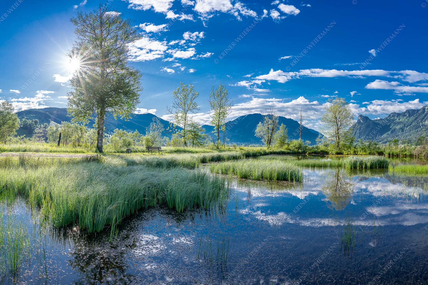 Morgentau – Seitenverhältnis 3:2 — Morgenstimmung im Ammertal Kleiner Weiher bei Unterammergau mit Blick auf Kofel und Oberammergau