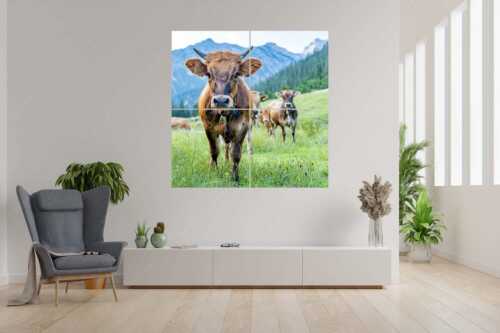 Jungvieh auf der Fischbachalm - Neugierige Werdenfelser - 4er Split, Größe ca. 180x180cm, Seitenverhältnis 1:1 - Murnau-Werdenfelser Rind - weitere Infos unter https://www.kriner-weiermann.de