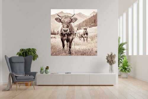 Jungvieh auf der Fischbachalm - Neugierige Werdenfelser - 4er Split, Größe ca. 180x180cm, Seitenverhältnis 1:1 - Murnau-Werdenfelser Rind - weitere Infos unter https://www.kriner-weiermann.de