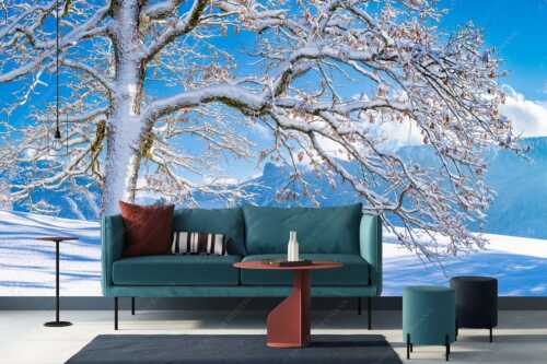 Verschneiter Baum in Unterammergau mit Blick zum Kofel - Ougwat - Größe ca. 400x200cm, Seitenverhältnis 2:1 - Winter Baum in Unterammergau - weitere Infos unter https://www.kriner-weiermann.de