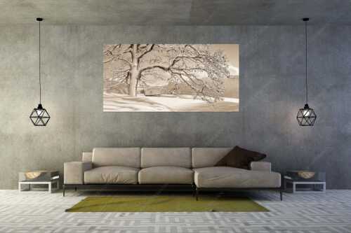 Verschneiter Baum in Unterammergau mit Blick zum Kofel - Ougwat - Größe ca. 200x100cm, Seitenverhältnis 2:1 - Winter Baum in Unterammergau - weitere Infos unter https://www.kriner-weiermann.de