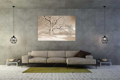 Verschneiter Baum in Unterammergau mit Blick zum Kofel - Ougwat - Größe ca. 180x120cm, Seitenverhältnis 3:2 - Winter Baum in Unterammergau - weitere Infos unter https://www.kriner-weiermann.de