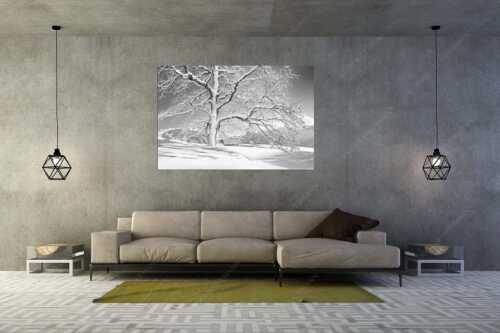 Verschneiter Baum in Unterammergau mit Blick zum Kofel - Ougwat - Größe ca. 180x120cm, Seitenverhältnis 3:2 - Winter Baum in Unterammergau - weitere Infos unter https://www.kriner-weiermann.de