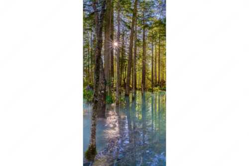 Überschwemmte Waldflächen an der Partnach im Reintal im Wettersteingebirge - Partnachmangroven - Seitenverhältnis 1:2 - Wald Überschwemmung - weitere Infos unter https://www.kriner-weiermann.de