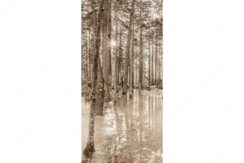 Überschwemmte Waldflächen an der Partnach im Reintal im Wettersteingebirge - Partnachmangroven - Seitenverhältnis 1:2 - Wald Überschwemmung - weitere Infos unter https://www.kriner-weiermann.de