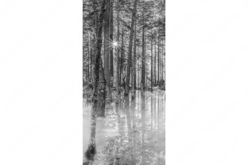 Überschwemmte Waldflächen an der Partnach im Reintal im Wettersteingebirge - Partnachmangroven - Seitenverhältnis 1:2 - Wald Überschwemmung - weitere Infos unter https://www.kriner-weiermann.de