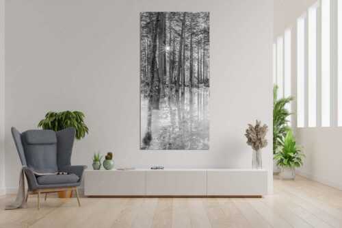 Überschwemmte Waldflächen an der Partnach im Reintal im Wettersteingebirge - Partnachmangroven - Größe ca. 90x180cm, Seitenverhältnis 1:2 - Wald Überschwemmung - weitere Infos unter https://www.kriner-weiermann.de
