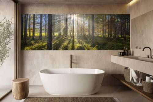 Herbstlicher Wald bei Fall - Prisma - Größe ca. 300x100cm, Seitenverhältnis 3:1 - Streiflicht im Wald - weitere Infos unter https://www.kriner-weiermann.de