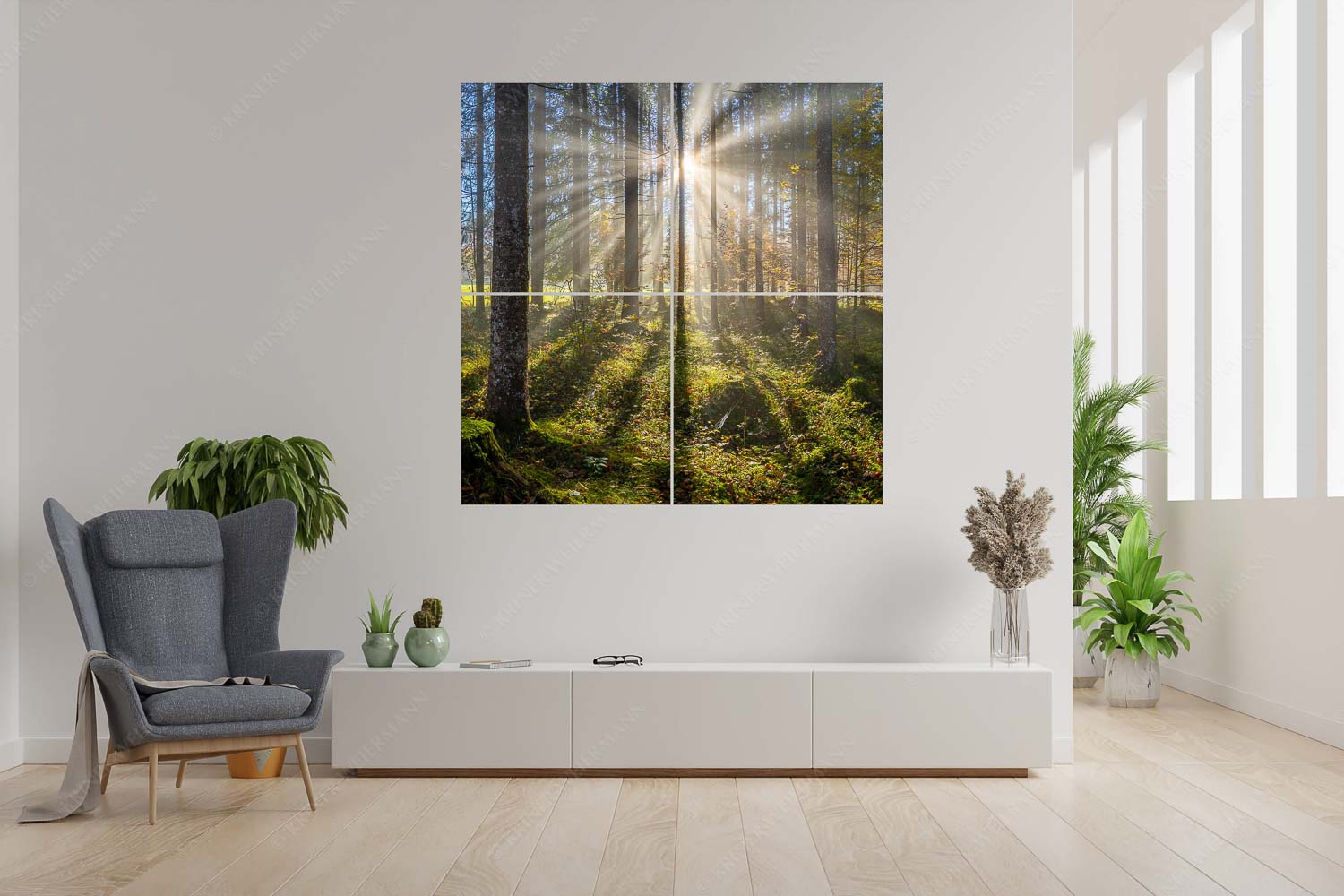 Prisma – 4er Split, Größe ca. 180x180cm, Seitenverhältnis 1:1 — Streiflicht im Wald Herbstlicher Wald bei Fall - Prisma - 4er Split, Größe ca. 180x180cm, Seitenverhältnis 1:1 - Streiflicht im Wald - weitere Infos unter https://www.kriner-weiermann.de