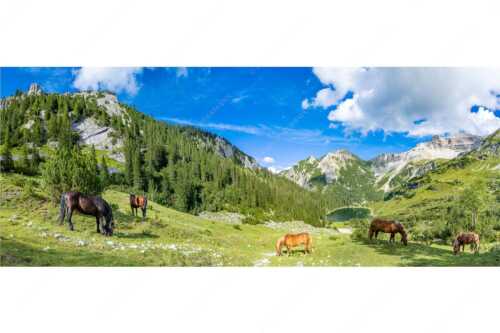 Pferde im Soierngebirge mit Soiernsee und Gumpenkarspitze - Rammsbeijnressa - Seitenverhältnis 2,5:1 - Pferde im Soierngebirge - weitere Infos unter https://www.kriner-weiermann.de