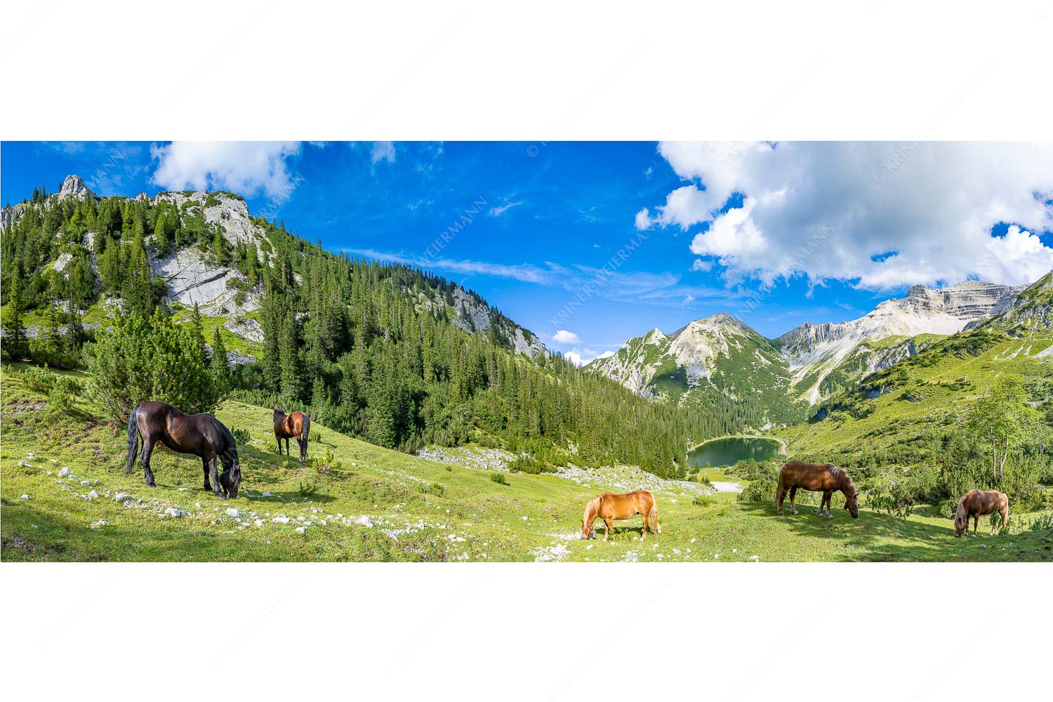 Pferde im Soierngebirge mit Soiernsee und Gumpenkarspitze - Rammsbeijnressa - Seitenverhältnis 2,5:1 - Pferde im Soierngebirge - weitere Infos unter https://www.kriner-weiermann.de