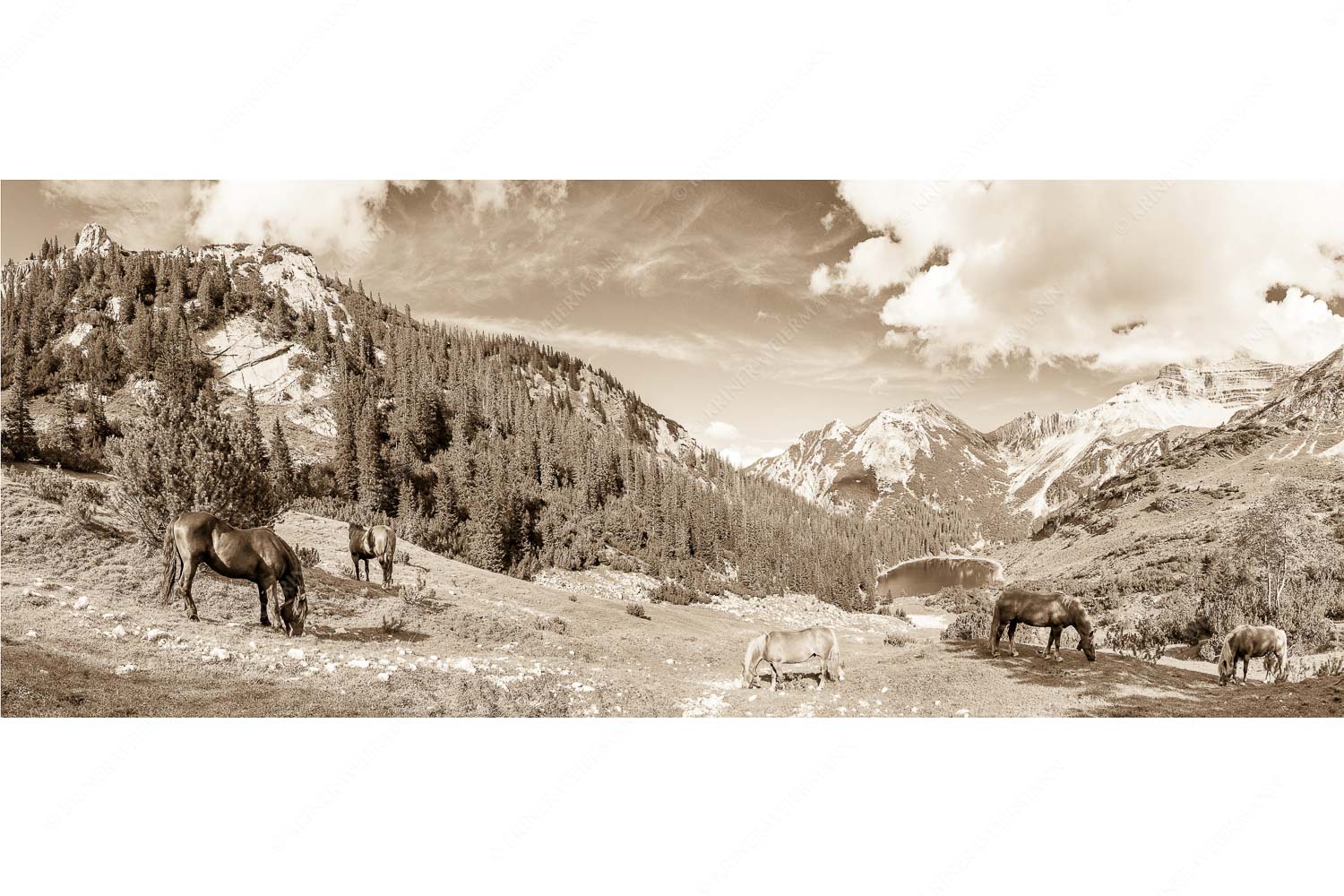 Pferde im Soierngebirge mit Soiernsee und Gumpenkarspitze - Rammsbeijnressa - Seitenverhältnis 2,5:1 - Pferde im Soierngebirge - weitere Infos unter https://www.kriner-weiermann.de