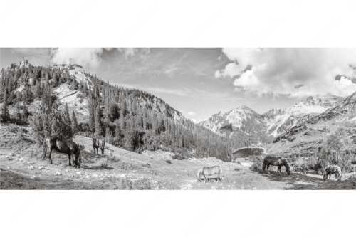 Pferde im Soierngebirge mit Soiernsee und Gumpenkarspitze - Rammsbeijnressa - Seitenverhältnis 2,5:1 - Pferde im Soierngebirge - weitere Infos unter https://www.kriner-weiermann.de