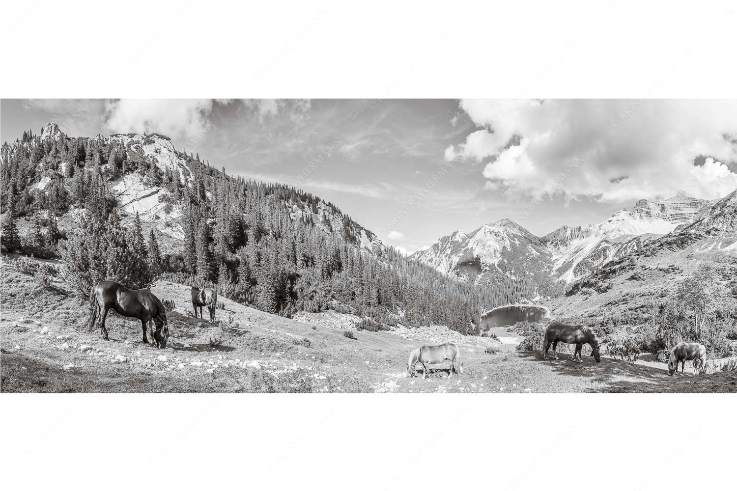 Pferde im Soierngebirge mit Soiernsee und Gumpenkarspitze - Rammsbeijnressa - Seitenverhältnis 2,5:1 - Pferde im Soierngebirge - weitere Infos unter https://www.kriner-weiermann.de