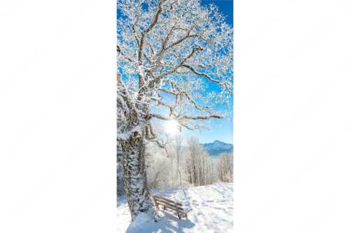 Aussichtsbank am Eckbauer mit Blick zur Dreitorspitze im Wettersteingebirge - Rast - Seitenverhältnis 1:2 - Rastbank mit Baum im Winter am Eckbauer - weitere Infos unter https://www.kriner-weiermann.de