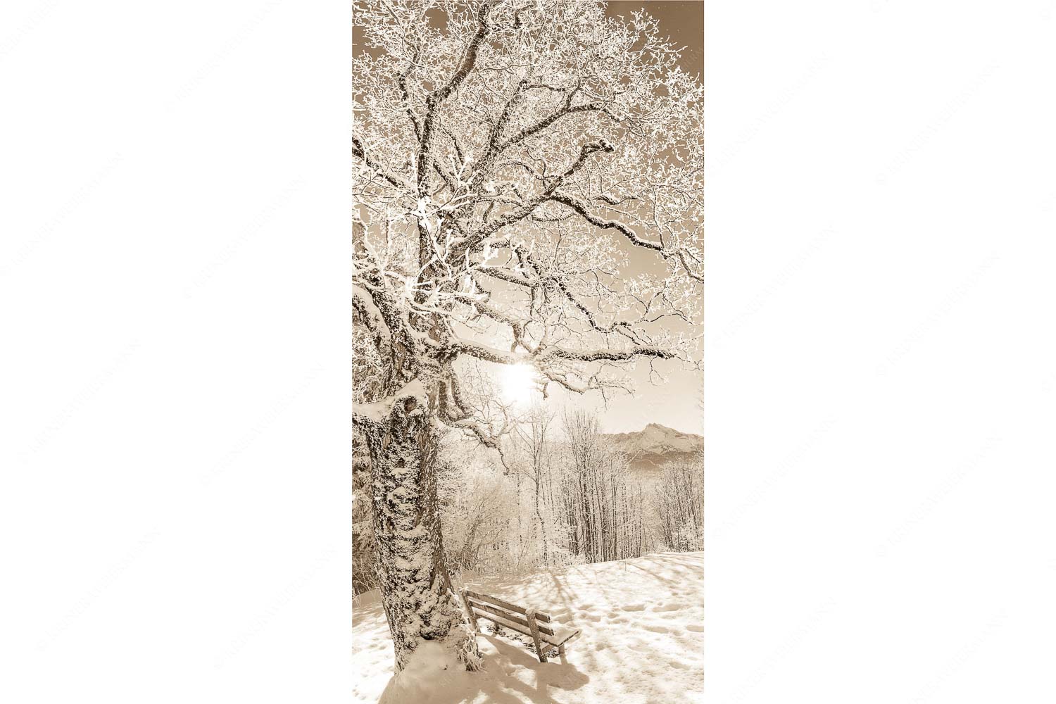 Aussichtsbank am Eckbauer mit Blick zur Dreitorspitze im Wettersteingebirge - Rast - Seitenverhältnis 1:2 - Rastbank mit Baum im Winter am Eckbauer - weitere Infos unter https://www.kriner-weiermann.de