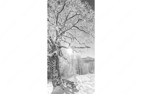 Aussichtsbank am Eckbauer mit Blick zur Dreitorspitze im Wettersteingebirge - Rast - Seitenverhältnis 1:2 - Rastbank mit Baum im Winter am Eckbauer - weitere Infos unter https://www.kriner-weiermann.de