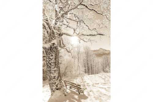 Aussichtsbank am Eckbauer mit Blick zur Dreitorspitze im Wettersteingebirge - Rast - Seitenverhältnis 2:3 - Rastbank mit Baum im Winter am Eckbauer - weitere Infos unter https://www.kriner-weiermann.de