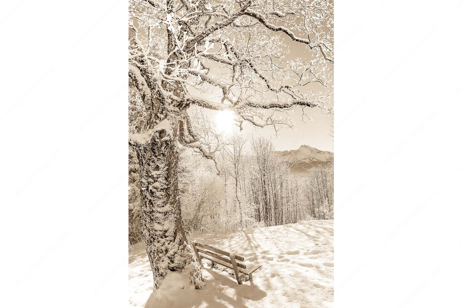 Rast – Seitenverhältnis 2:3 — Rastbank mit Baum im Winter am Eckbauer Aussichtsbank am Eckbauer mit Blick zur Dreitorspitze im Wettersteingebirge