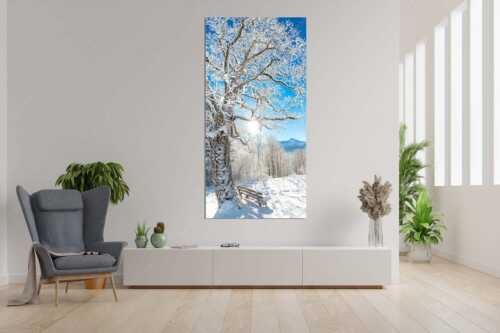 Aussichtsbank am Eckbauer mit Blick zur Dreitorspitze im Wettersteingebirge - Rast - Größe ca. 90x180cm, Seitenverhältnis 1:2 - Rastbank mit Baum im Winter am Eckbauer - weitere Infos unter https://www.kriner-weiermann.de