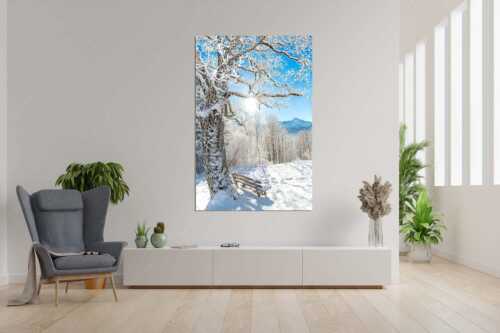 Aussichtsbank am Eckbauer mit Blick zur Dreitorspitze im Wettersteingebirge - Rast - Größe ca. 120x180cm, Seitenverhältnis 2:3 - Rastbank mit Baum im Winter am Eckbauer - weitere Infos unter https://www.kriner-weiermann.de