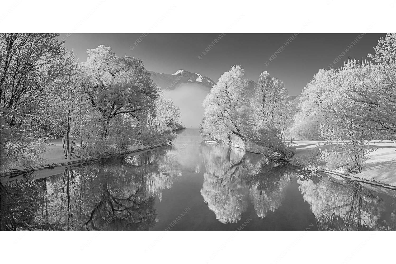 Raureif – Seitenverhältnis 2:1 — Winterstimmung am Kochelsee Nach einer langen Nebelphase hängt dicker Reif in den bäumen rund um den Kochelsee