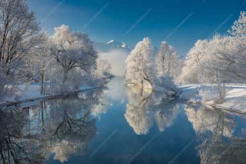 Nach einer langen Nebelphase hängt dicker Reif in den bäumen rund um den Kochelsee - Raureif - Seitenverhältnis 3:2 - Winterstimmung am Kochelsee - weitere Infos unter https://www.kriner-weiermann.de
