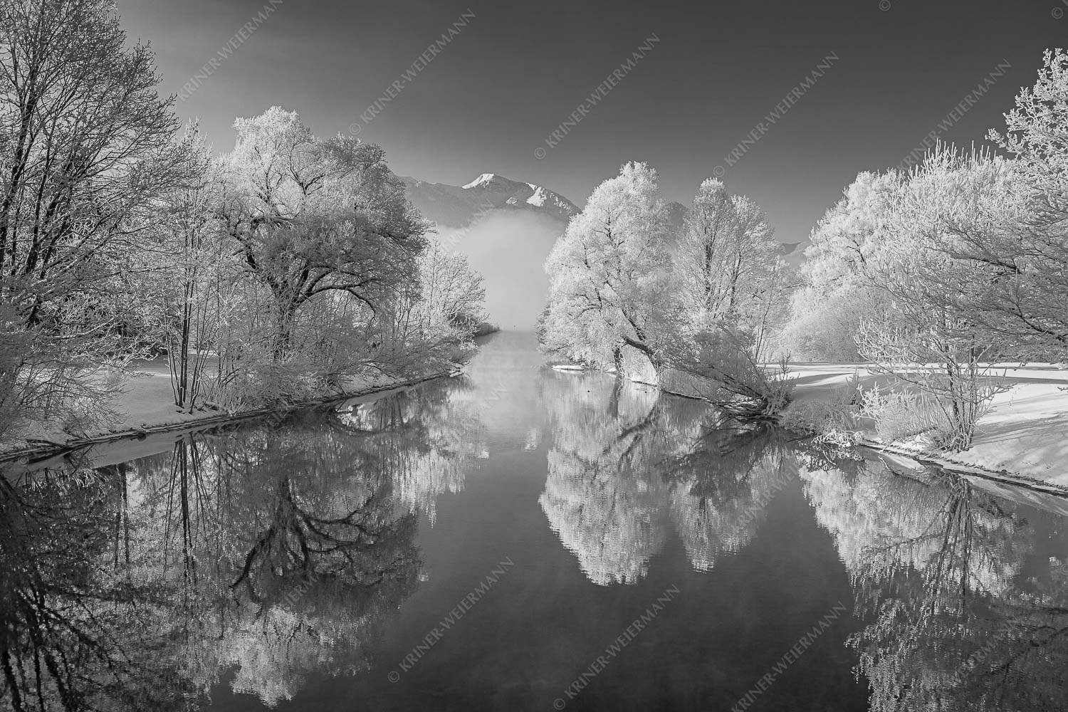 Raureif – Seitenverhältnis 3:2 — Winterstimmung am Kochelsee Nach einer langen Nebelphase hängt dicker Reif in den bäumen rund um den Kochelsee