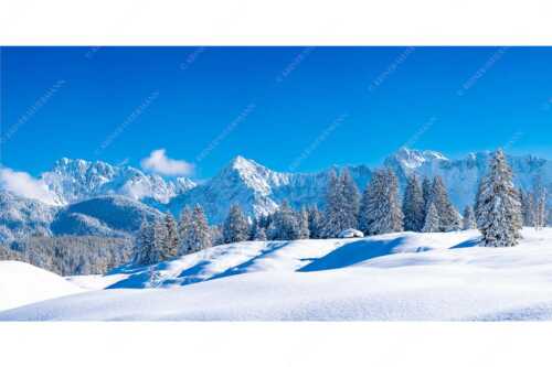Einsamer Wiesmahdstadel mit viel Schnee und Wörner, Tiefkar und Westlicher Karwendelspitze im Hintergrund - Richtig Winter - Seitenverhältnis 2:1 - Winterlandschaft Karwendel - weitere Infos unter https://www.kriner-weiermann.de