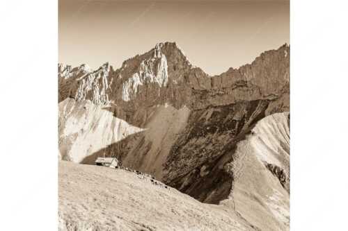 Bergschafe an der Erinnerungshütte mit Oberreintalschrofen und Scharnitzspitze im Wettersteingebirge - Scharnitzjoch - Seitenverhältnis 1:1 - Schafe mit Erinnerungshütte im Wetterstein - weitere Infos unter https://www.kriner-weiermann.de