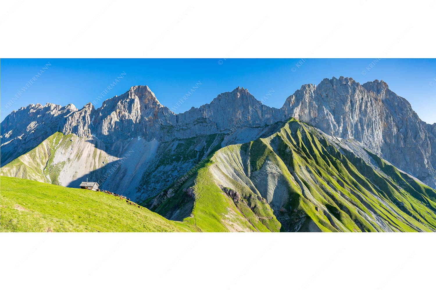 Bergschafe an der Erinnerungshütte mit Oberreintalschrofen und Scharnitzspitze im Wettersteingebirge - Scharnitzjoch - Seitenverhältnis 2,5:1 - Schafe mit Erinnerungshütte im Wetterstein - weitere Infos unter https://www.kriner-weiermann.de