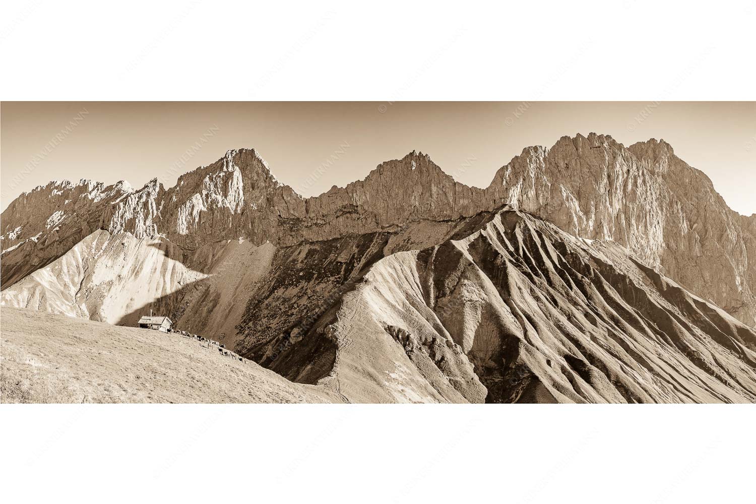 Bergschafe an der Erinnerungshütte mit Oberreintalschrofen und Scharnitzspitze im Wettersteingebirge - Scharnitzjoch - Seitenverhältnis 2,5:1 - Schafe mit Erinnerungshütte im Wetterstein - weitere Infos unter https://www.kriner-weiermann.de