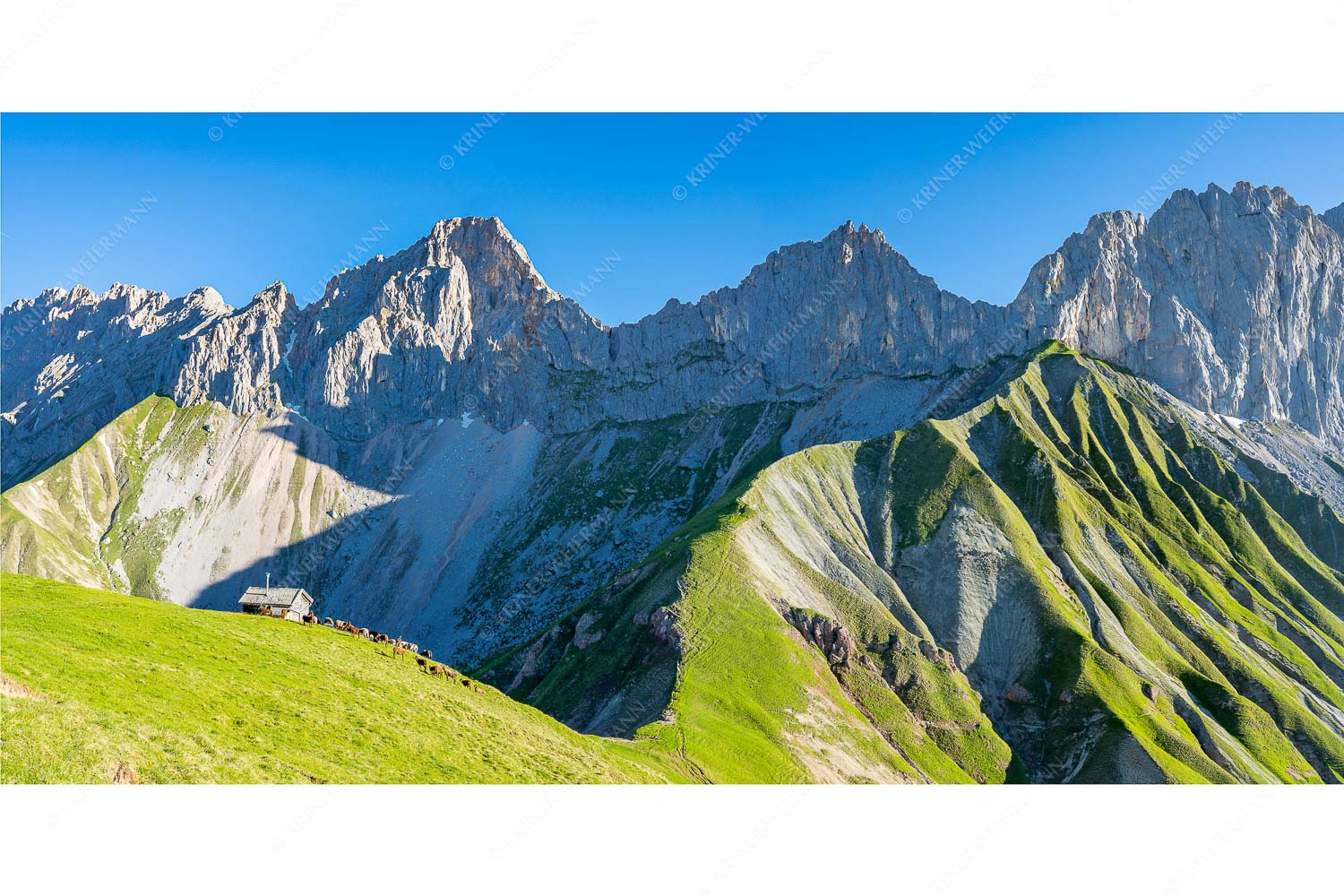 Scharnitzjoch – Seitenverhältnis 2:1 — Schafe mit Erinnerungshütte im Wetterstein Bergschafe an der Erinnerungshütte mit Oberreintalschrofen und Scharnitzspitze im Wettersteingebirge
