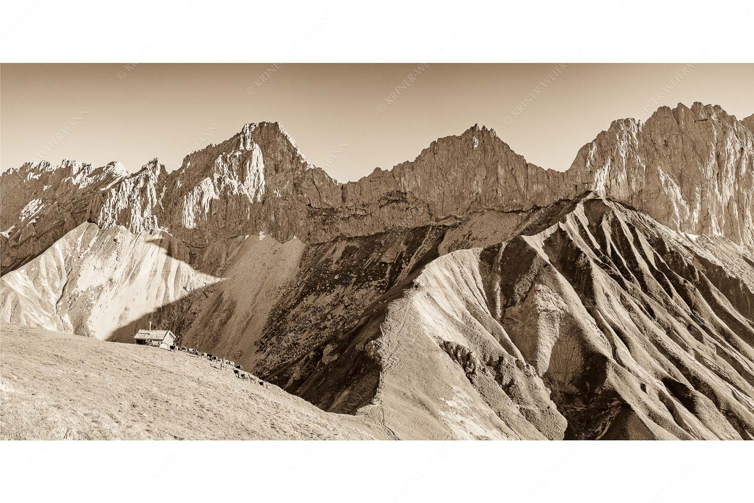 Bergschafe an der Erinnerungshütte mit Oberreintalschrofen und Scharnitzspitze im Wettersteingebirge