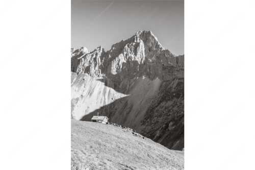 Bergschafe an der Erinnerungshütte mit Oberreintalschrofen und Scharnitzspitze im Wettersteingebirge - Scharnitzjoch - Seitenverhältnis 2:3 - Schafe mit Erinnerungshütte im Wetterstein - weitere Infos unter https://www.kriner-weiermann.de
